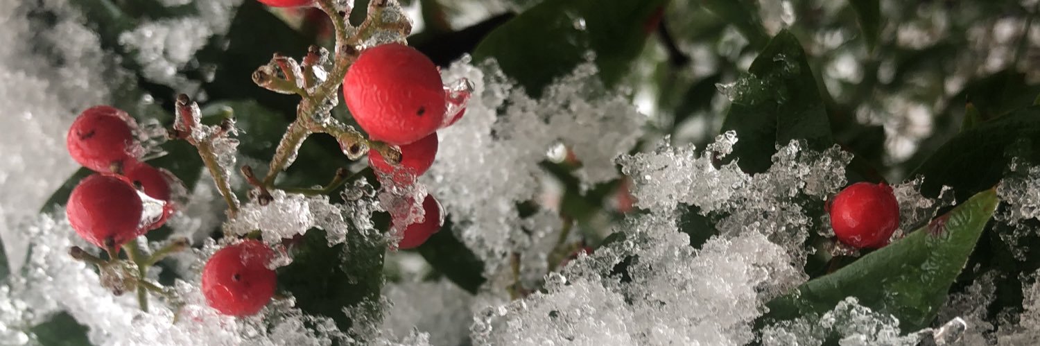 drummy1425's profile banner image
