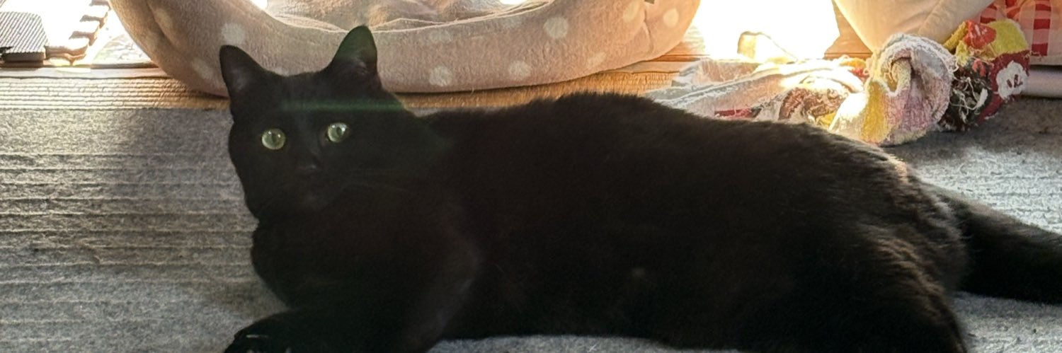 BLACKCAT_FRED's profile banner image