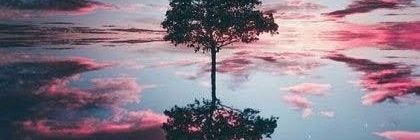 🍋🍰 Pie de Limón Nicaragüense 🍰🍋 banner