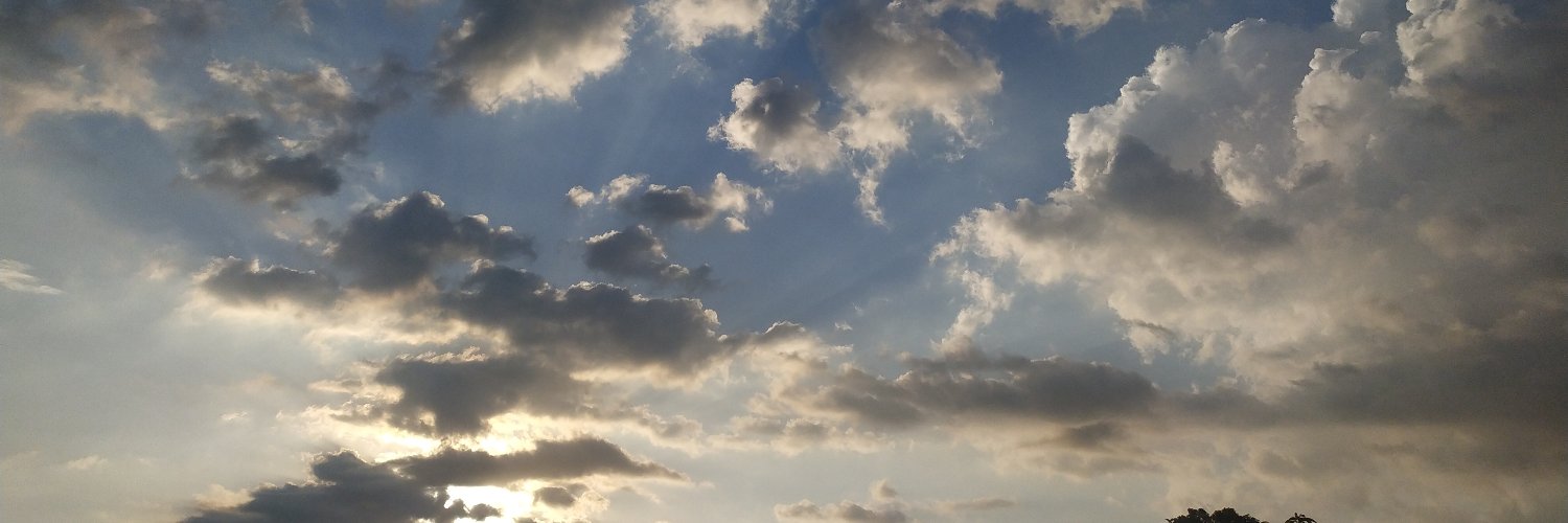 Nikematus's profile banner image