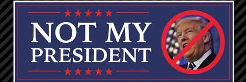 PRO-USA_Anti-Trump banner