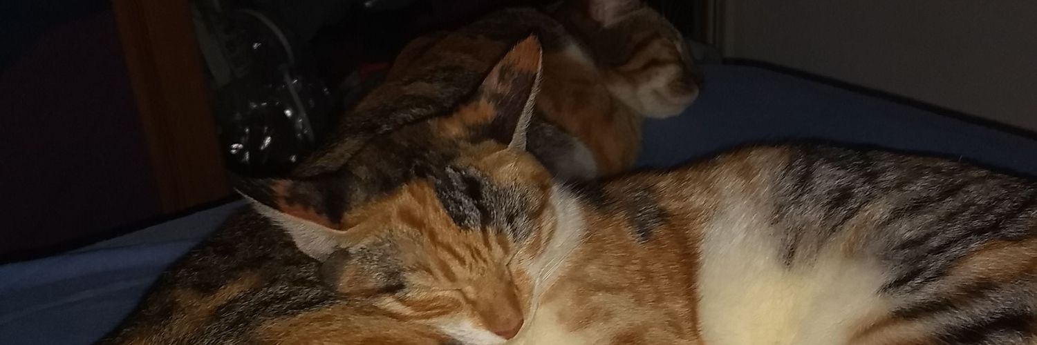 t_brittes's profile banner image