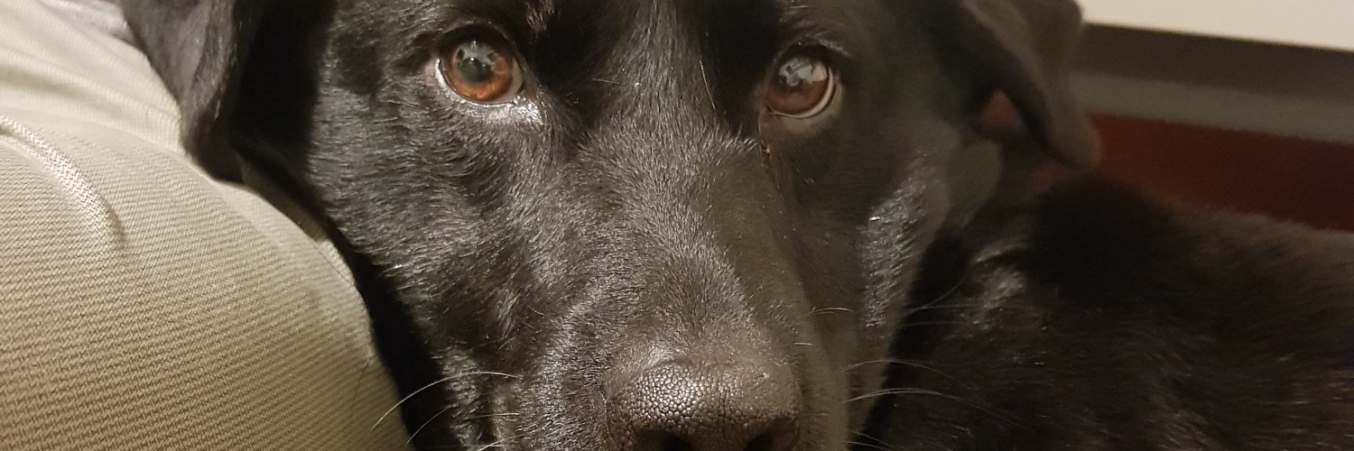 joanamlr's profile banner image