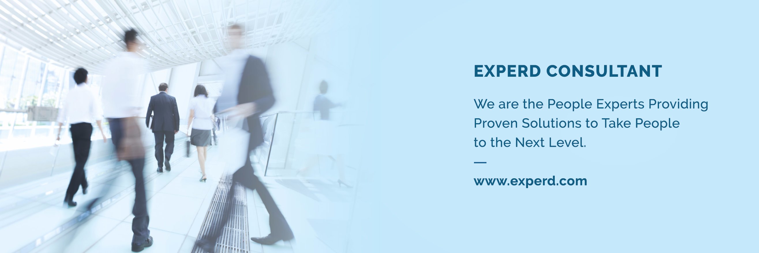 experd's profile banner image