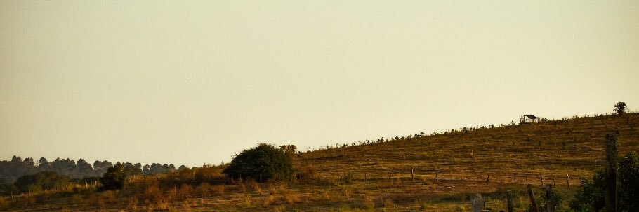 mpeena's profile banner image
