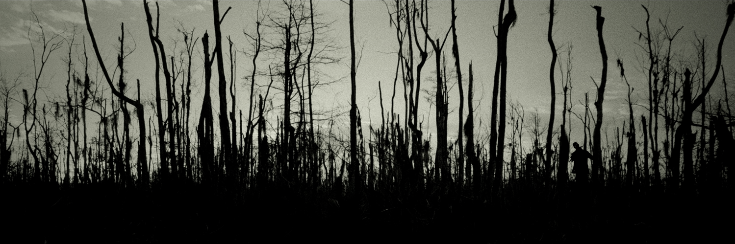 trailshaunt's profile banner image