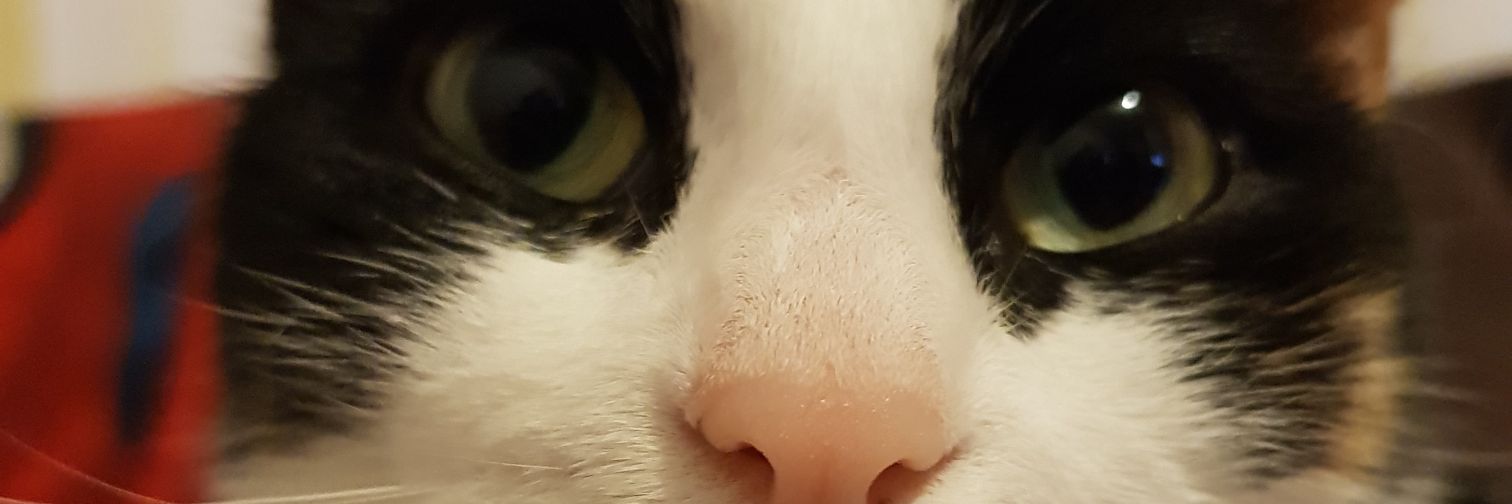 alexdem59's profile banner image