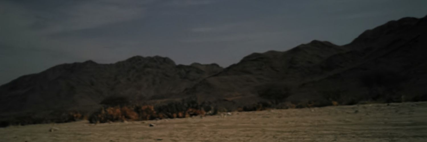 M_S3di's profile banner image