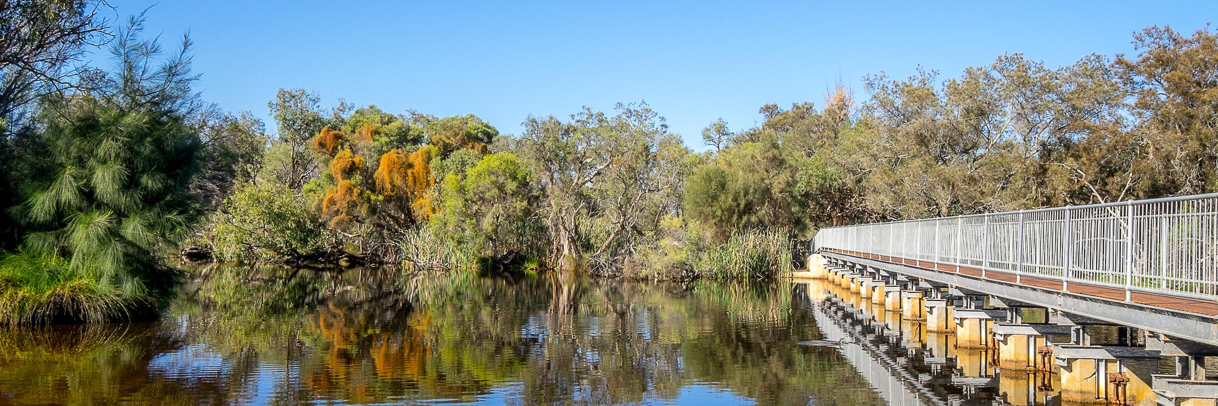 Canning_River's profile banner image