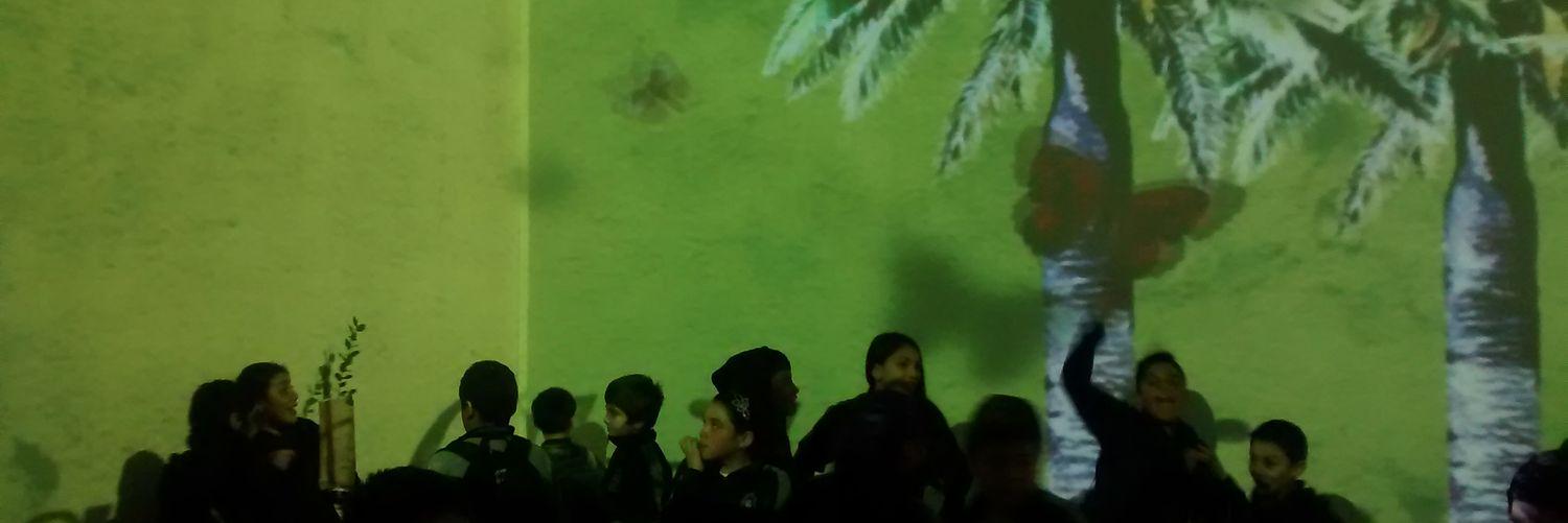 rquilaqueoc's profile banner image
