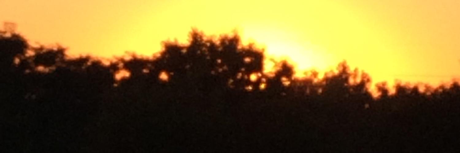 mrsrethmeier's profile banner image