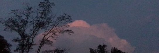 michele 🦕🍉 banner