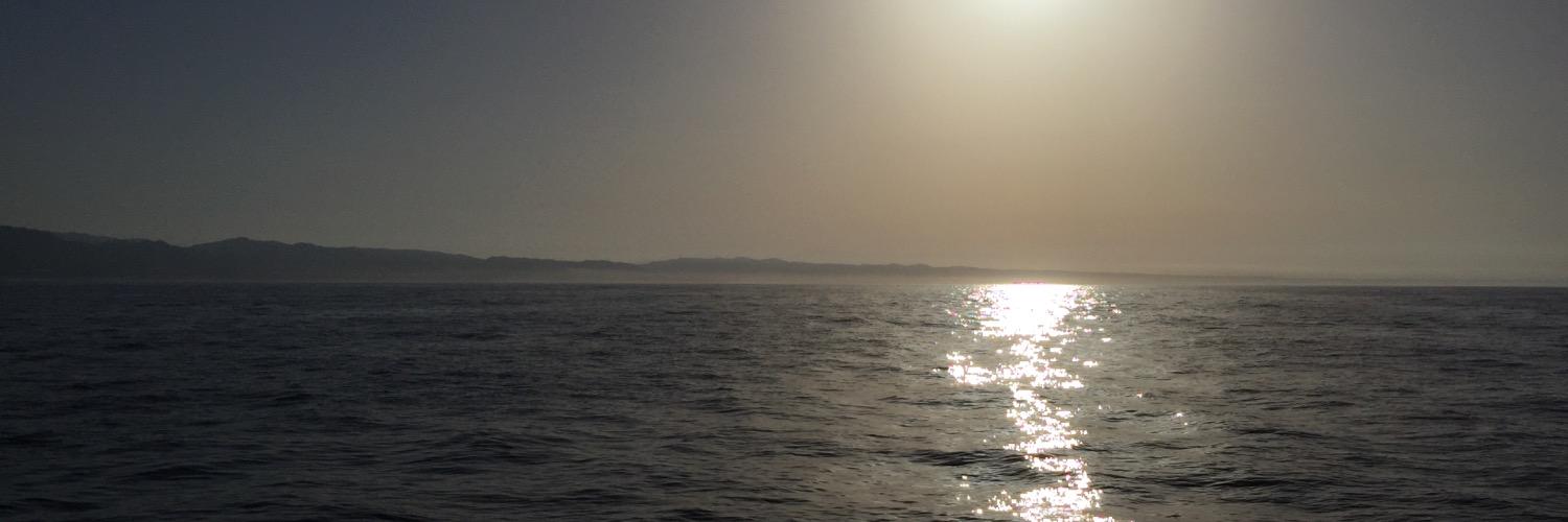 Thomasdong4's profile banner image