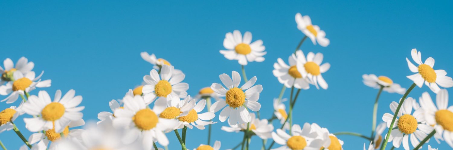 littlestarns68's profile banner image