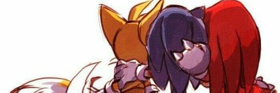 NeonXSonic's profile banner image