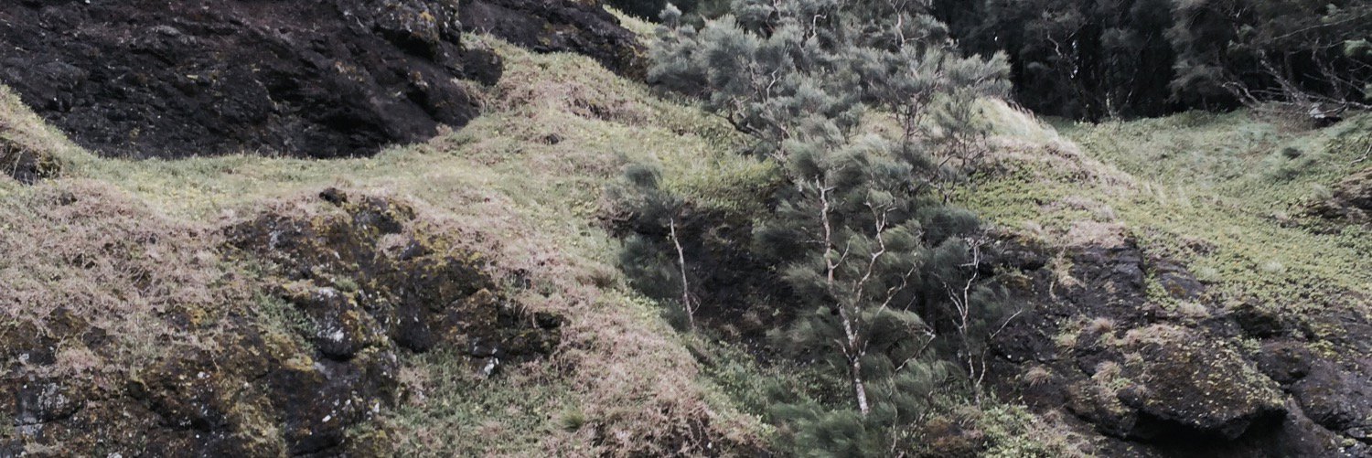 DomBalFox's profile banner image