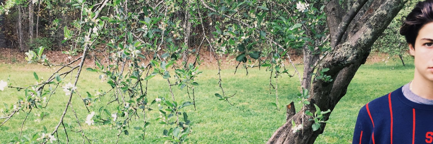 marlonroro's profile banner image