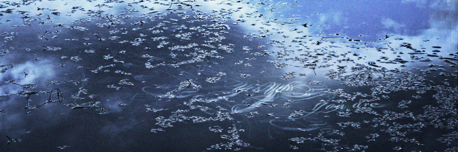 williamsstudio's profile banner image