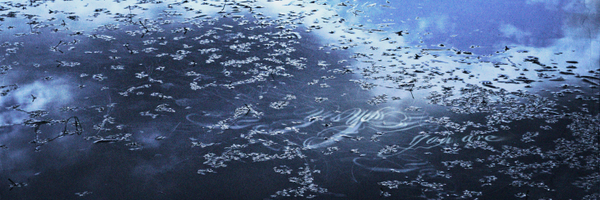 williamsstudio Profile Banner