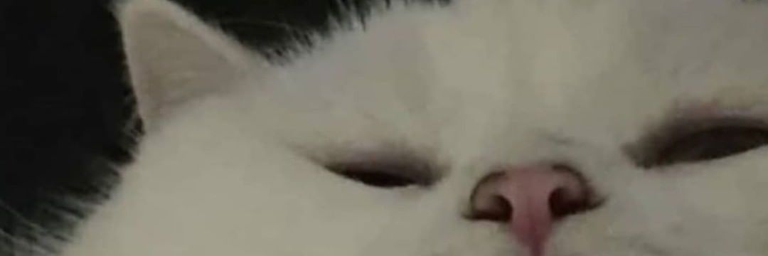 Natuli123's profile banner image