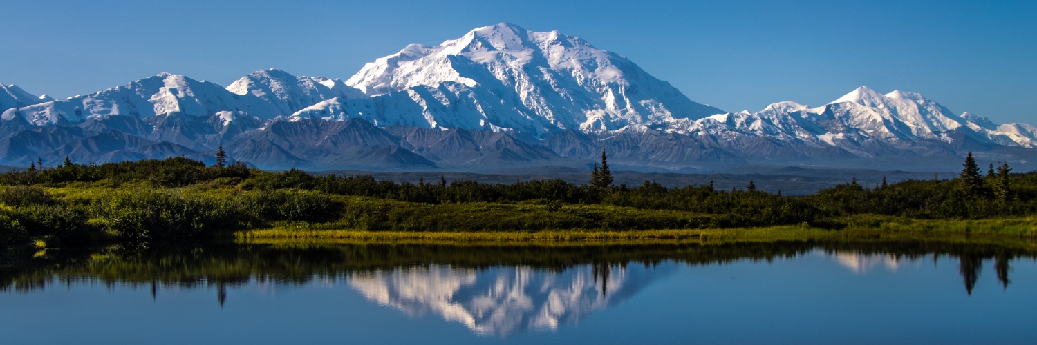 The Joy Trip Project banner