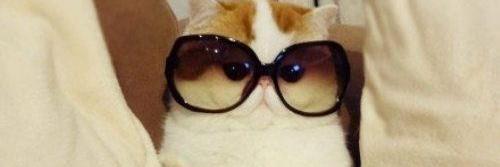 sydna_'s profile banner image