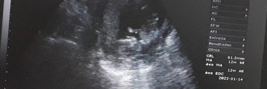RocioAr3's profile banner image