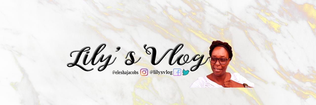 lilysvlog's profile banner image
