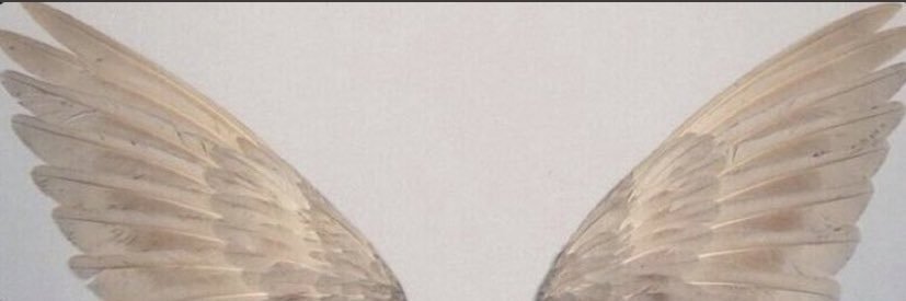 helenalexia_'s profile banner image