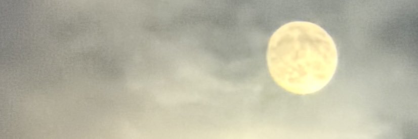 ののすけ banner