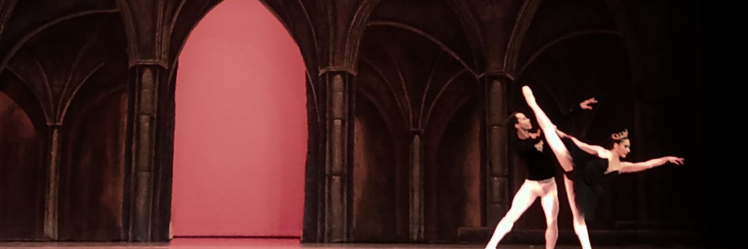 lauramaas16's profile banner image