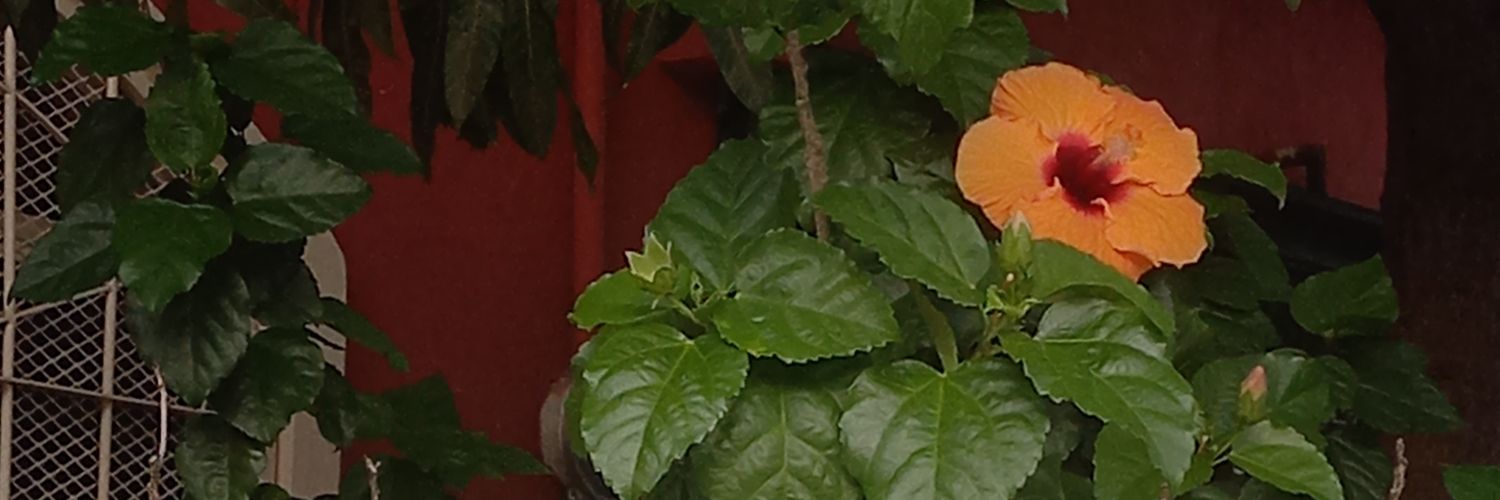 💫Ale_Cax💫 banner