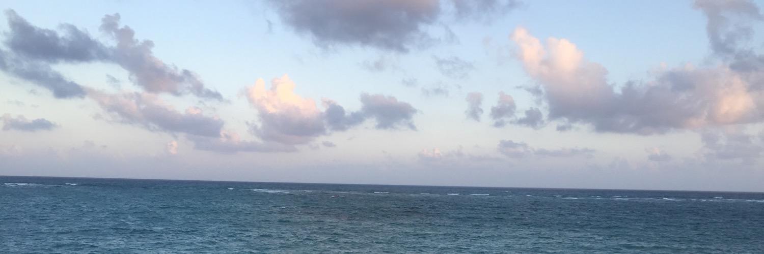 qiangl929's profile banner image