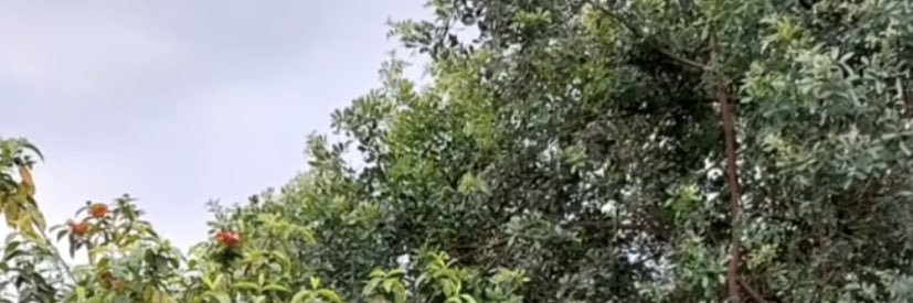 gabyymot's profile banner image