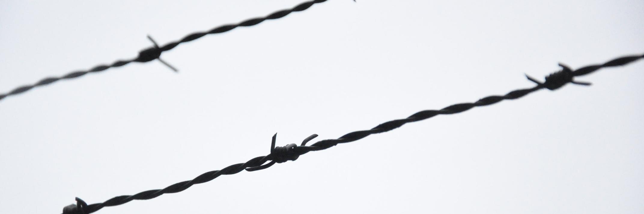 Antonio Ficai banner