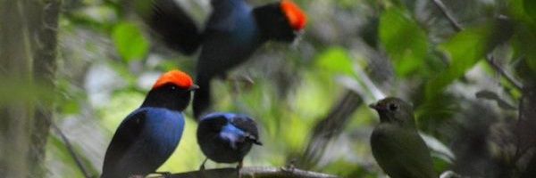 FernandoMix20's profile banner image