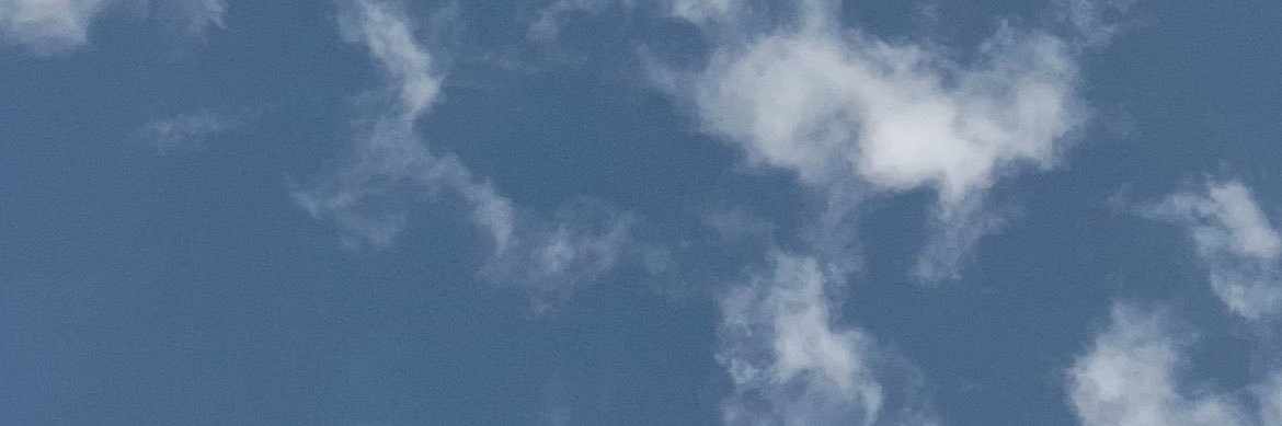 lnbrandao_'s profile banner image