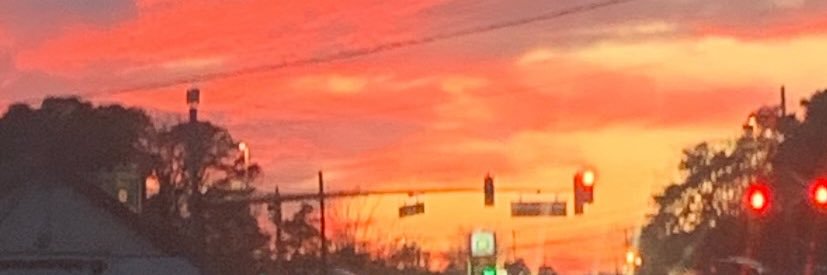 medusaneverleft's profile banner image