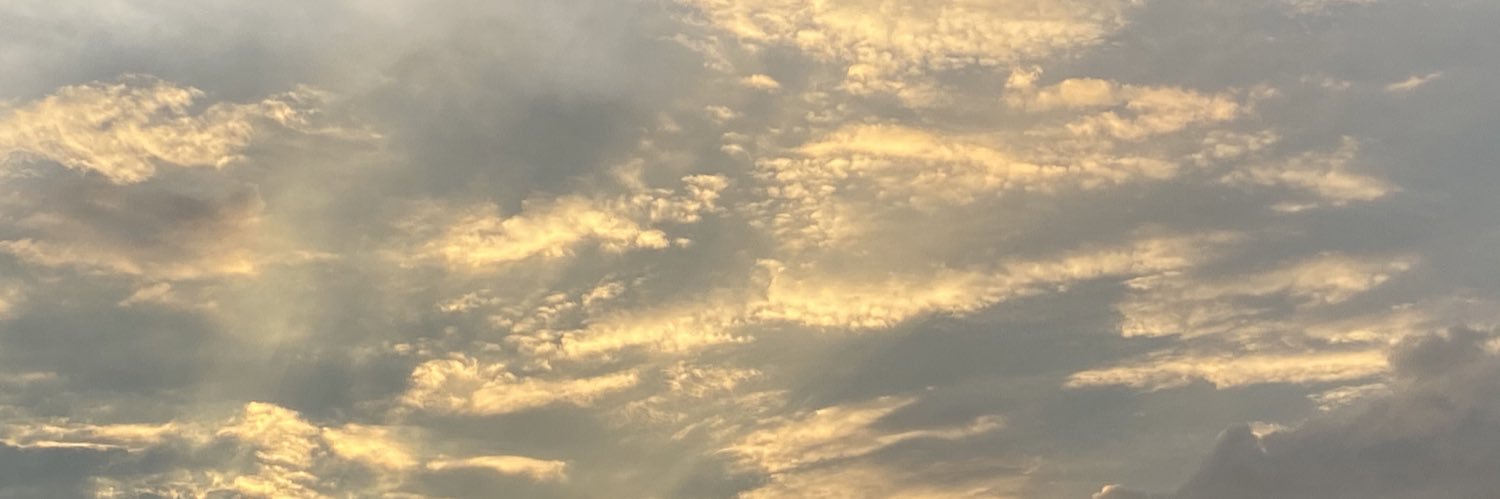 mgnbrady's profile banner image
