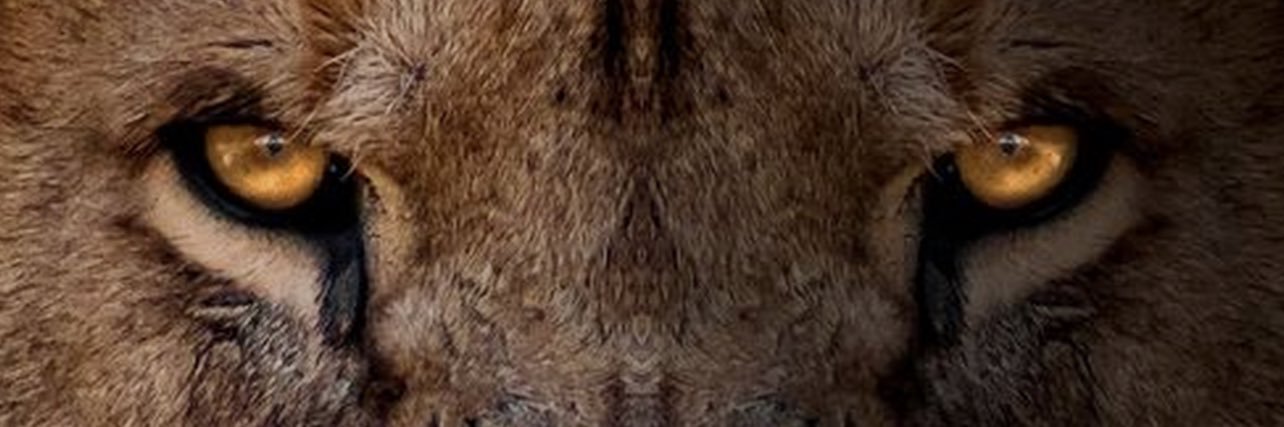 Rello2324's profile banner image
