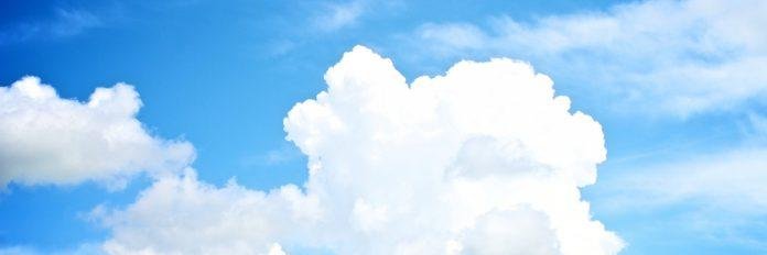 lisa simpson banner