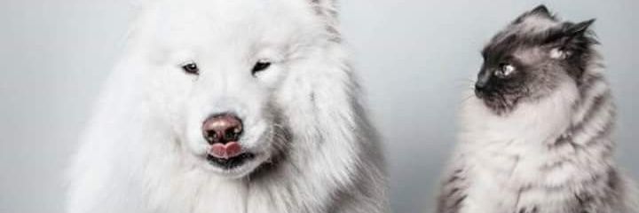 bamwpr's profile banner image