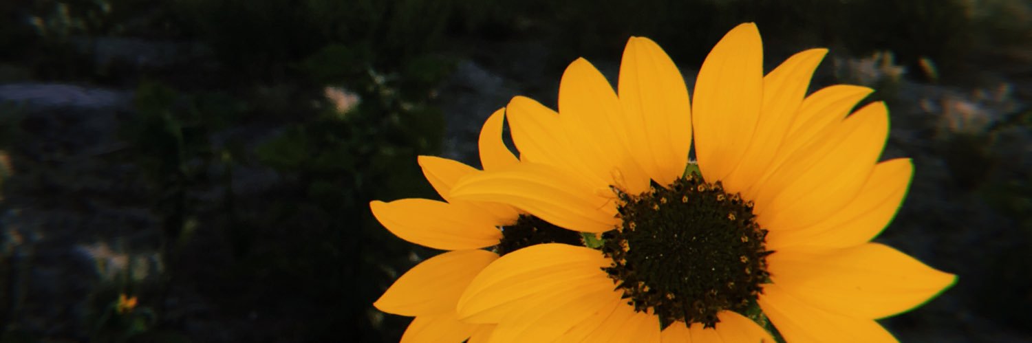_jasalene_'s profile banner image