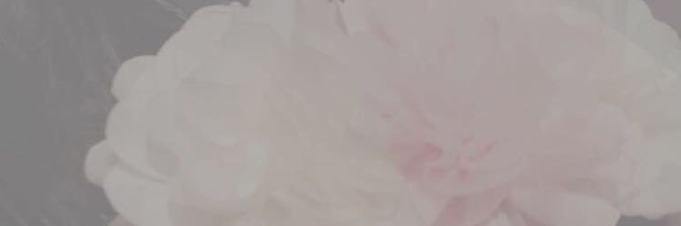 Qu_aii2's profile banner image