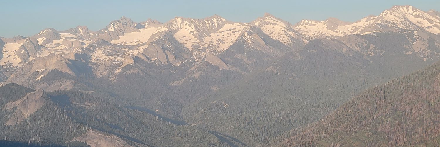 DemBums2025back2backWSchamps banner