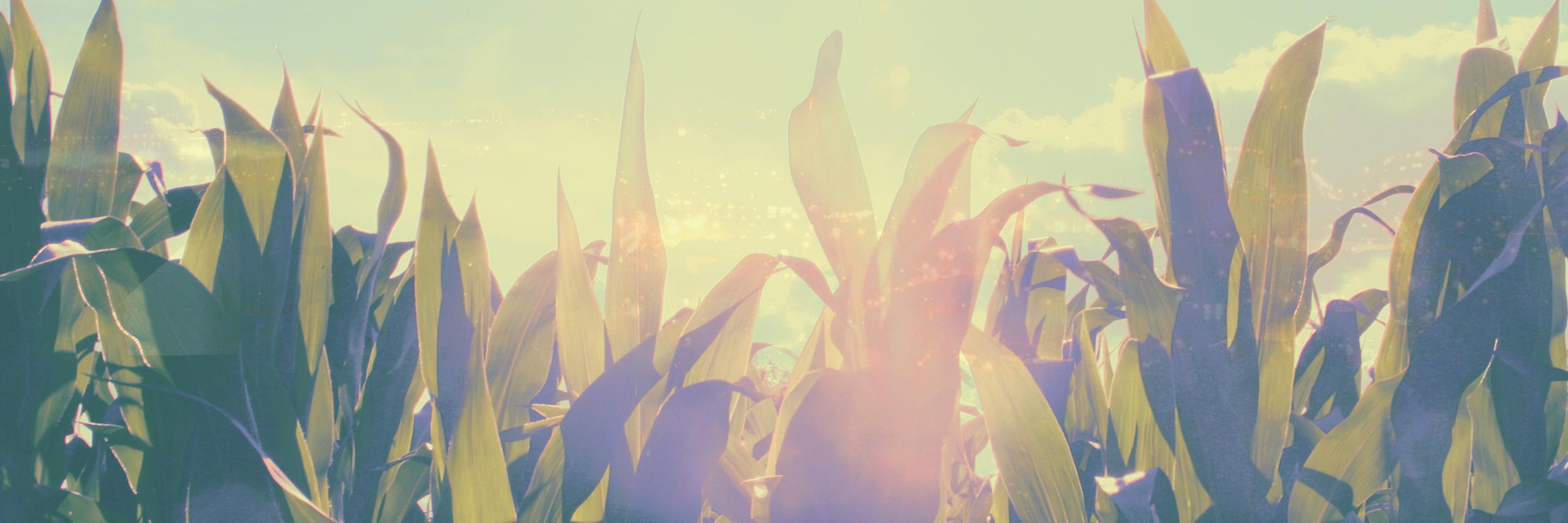 DeltaZulu_'s profile banner image