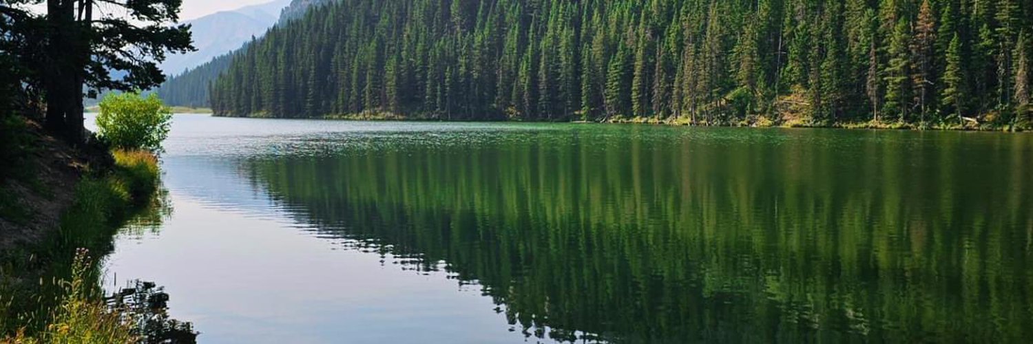Meliswey's profile banner image