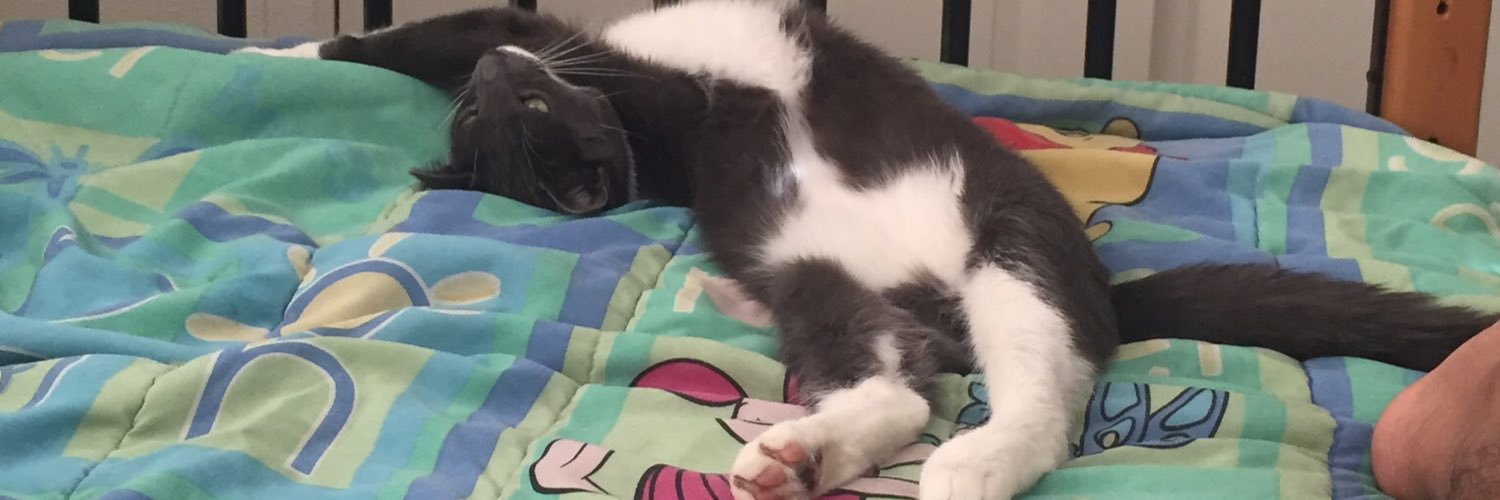 sidduboy8's profile banner image