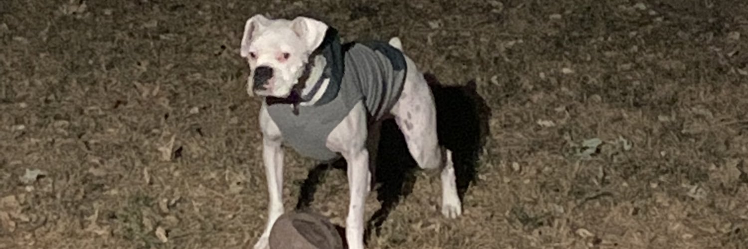 TrueDatZT's profile banner image