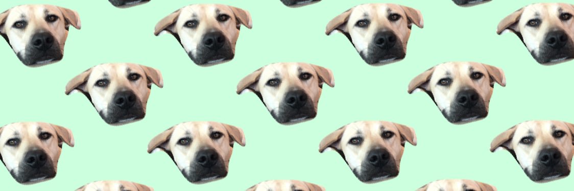 Heather_Millerr's profile banner image